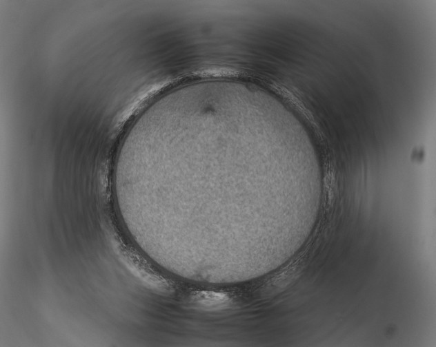 X0000115580159200912081034