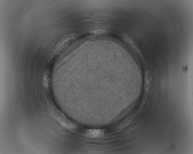 X0000115580161200912081034