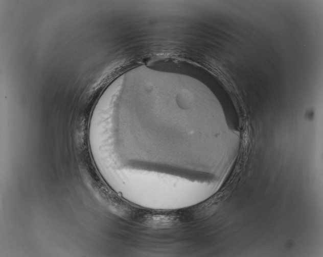 X0000115580163200912081034