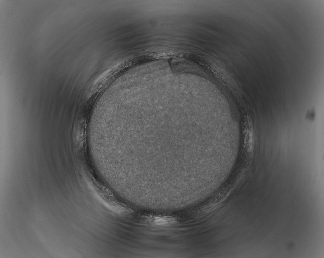 X0000115580165200912081034