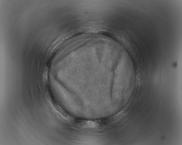 X0000115580166200912081034