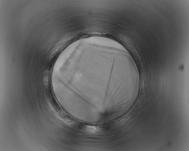 X0000115580167200912081034