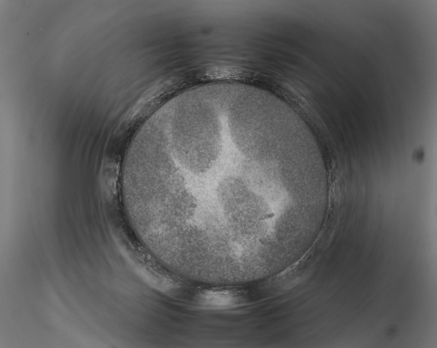 X0000115580171200912081034