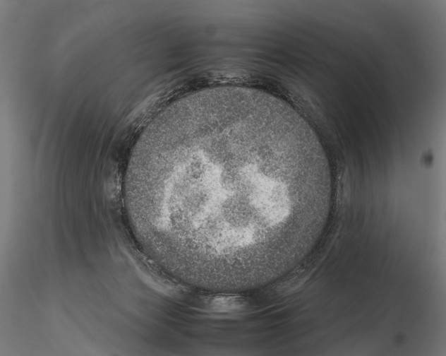 X0000115580173200912081034