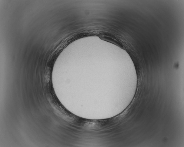 X0000115580174200912081034