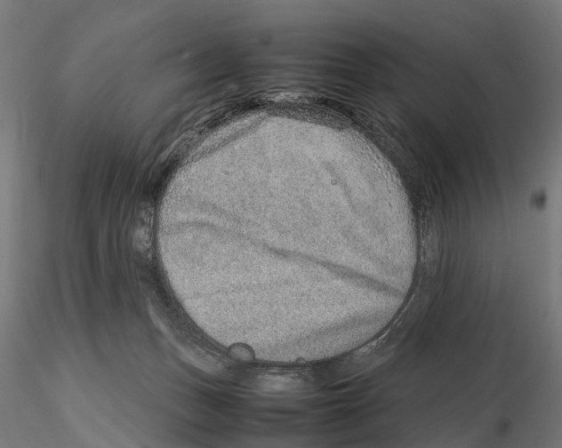 X0000115580175200912081034