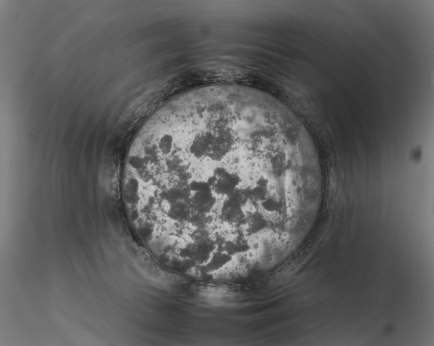 X0000115580177200912081034