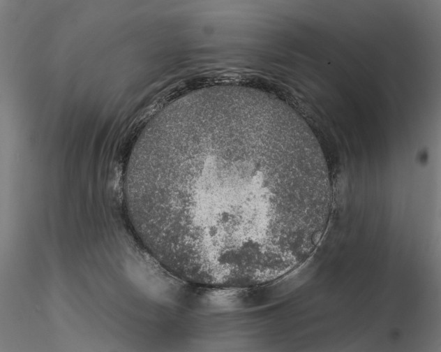 X0000115580178200912081034