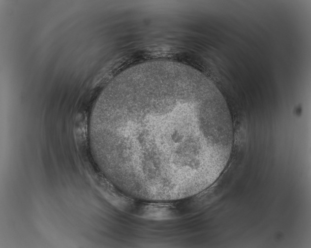 X0000115580179200912081034