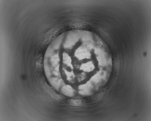 X0000115580181200912081034