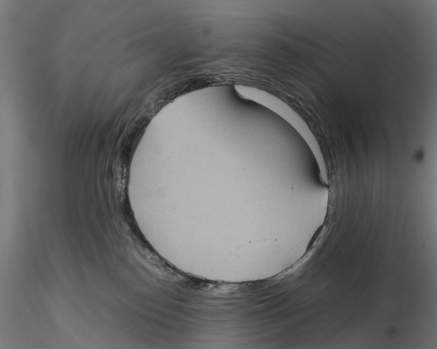 X0000115580186200912081034