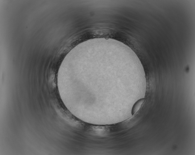 X0000115580187200912081034