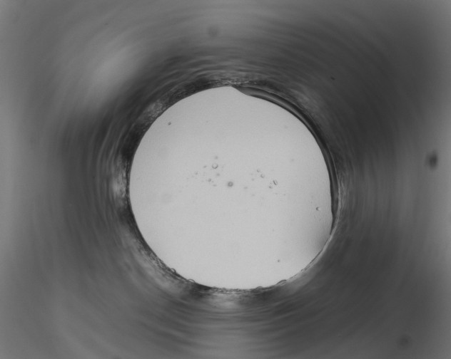 X0000115580190200912081034