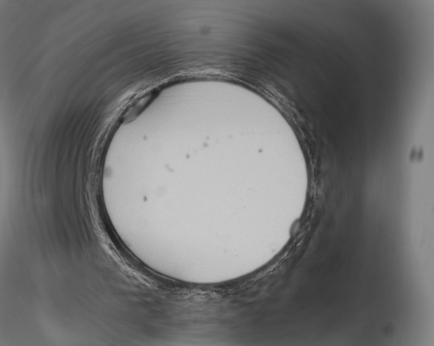 X0000115580193200912081034