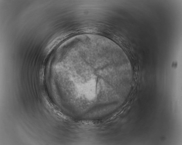 X0000115580194200912081034