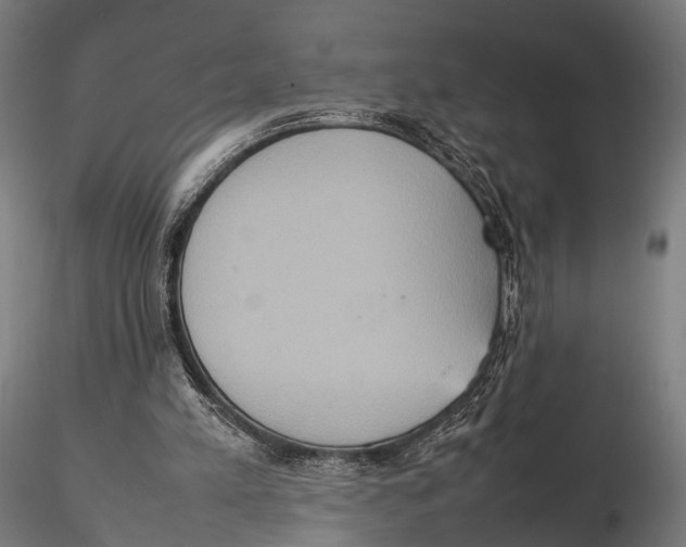 X0000115580197200912081034