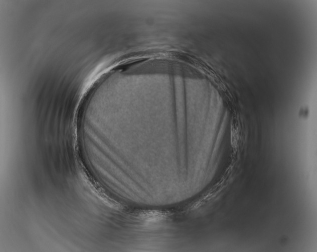 X0000115580198200912081034