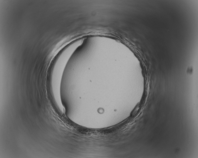 X0000115580199200912081034