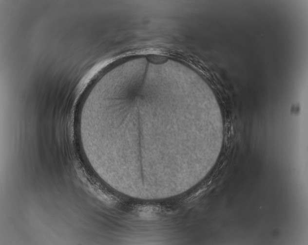 X0000115580200200912081034