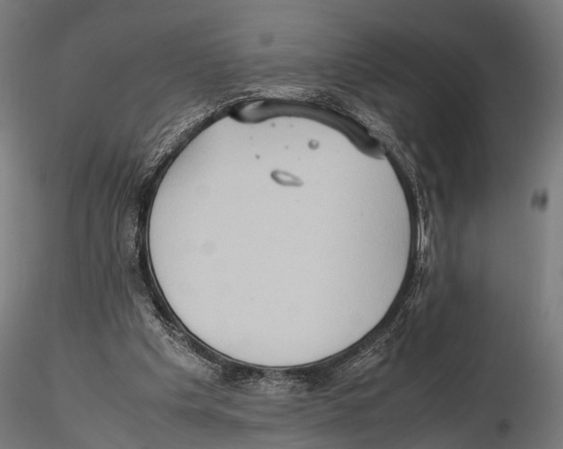 X0000115580201200912081034