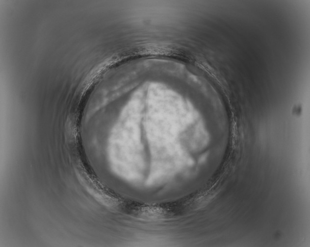 X0000115580203200912081034