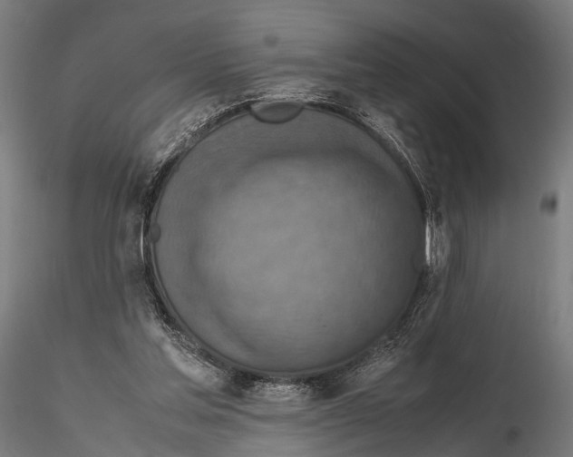 X0000115580205200912081034