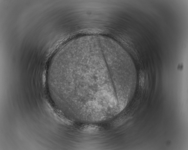 X0000115580206200912081034