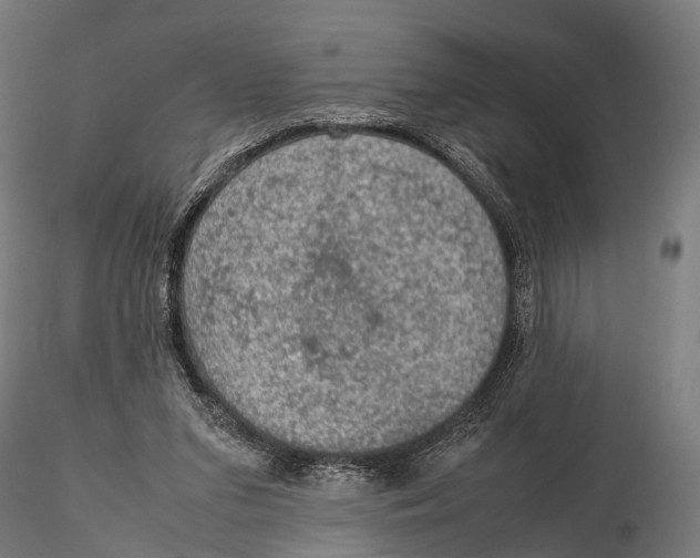 X0000115580207200912081034