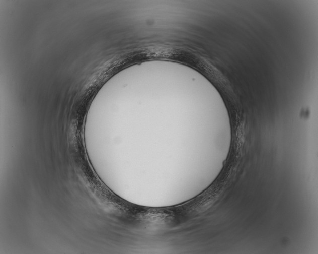 X0000115580209200912081033