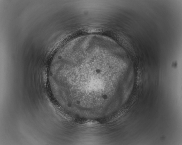 X0000115580210200912081033