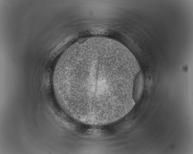 X0000115580211200912081033