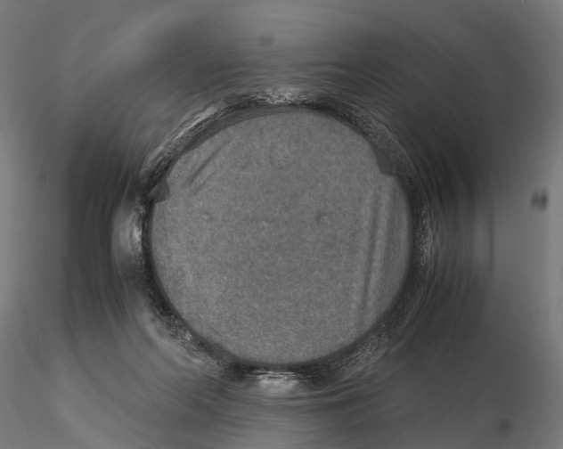 X0000115580214200912081033