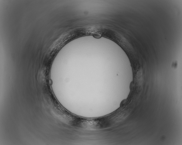 X0000115580217200912081033