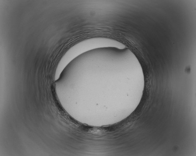 X0000115580221200912081033