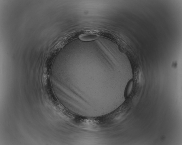 X0000115580223200912081033