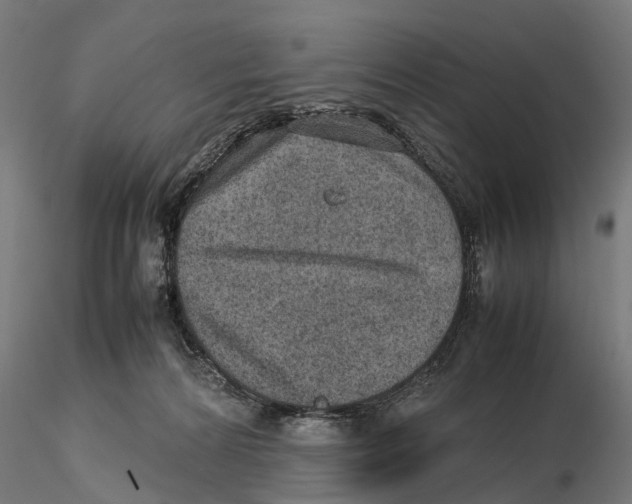 X0000115580224200912081033