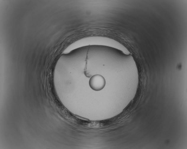 X0000115580225200912081033