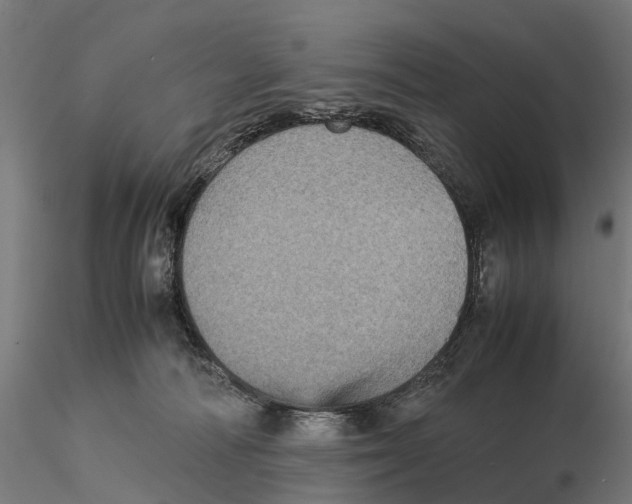 X0000115580226200912081033