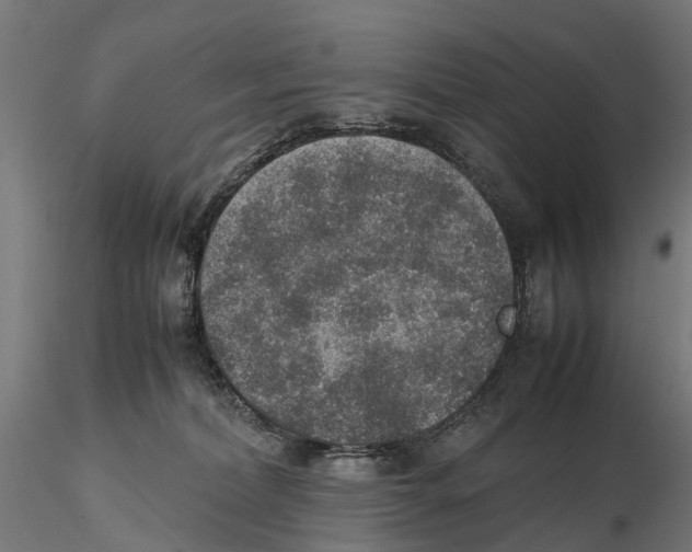 X0000115580228200912081033