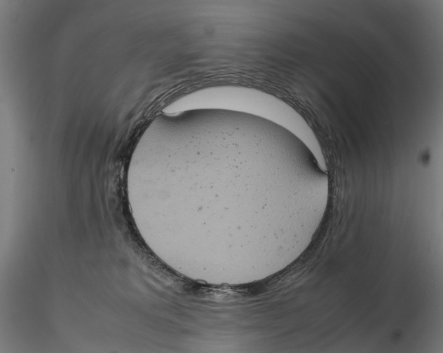 X0000115580229200912081033