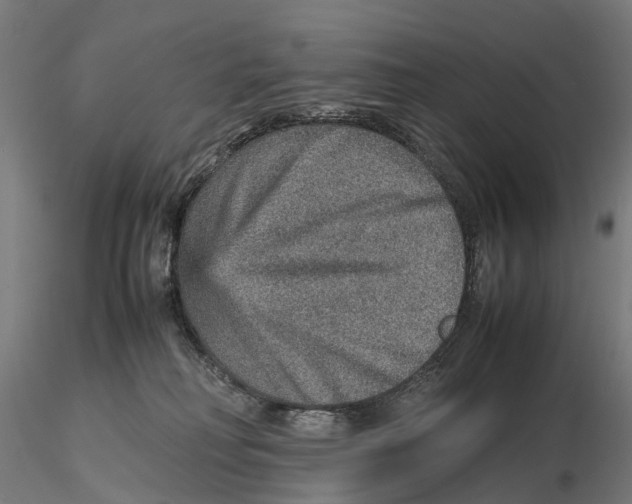 X0000115580230200912081033