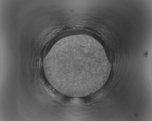 X0000115580231200912081033