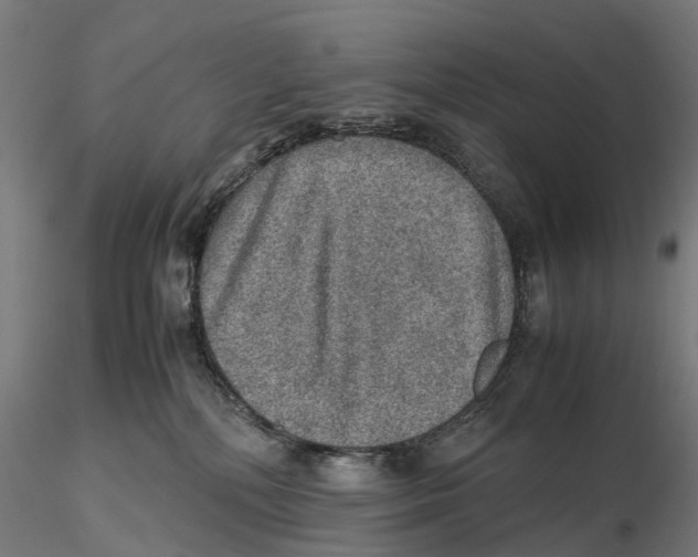 X0000115580232200912081033