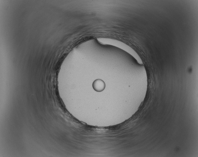 X0000115580233200912081033