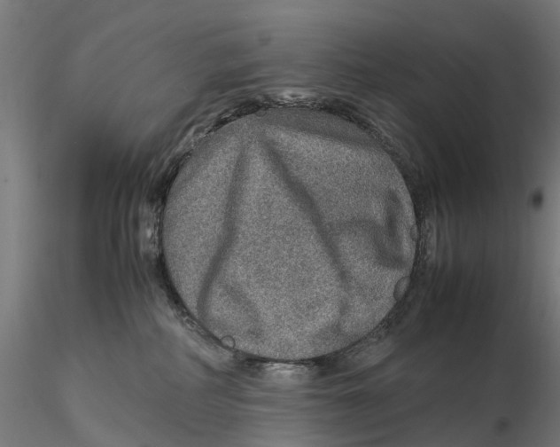 X0000115580234200912081033