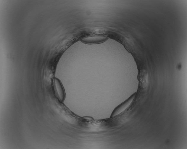 X0000115580235200912081033