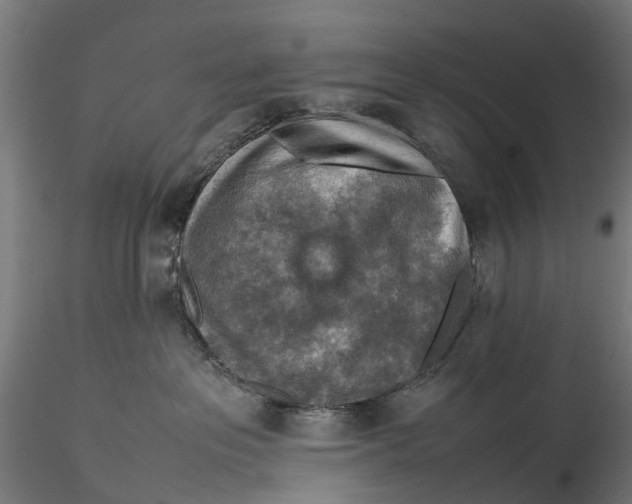 X0000115580237200912081033