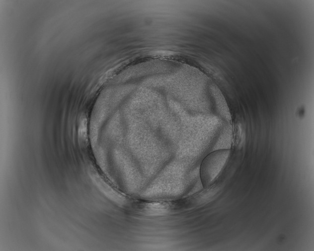 X0000115580238200912081033