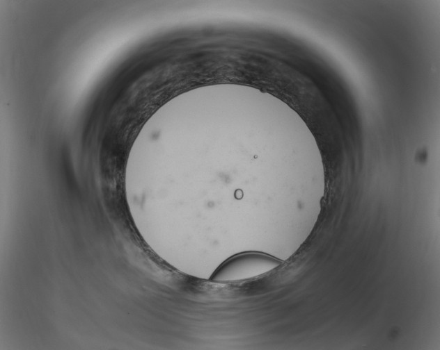 X0000115580239200912081033