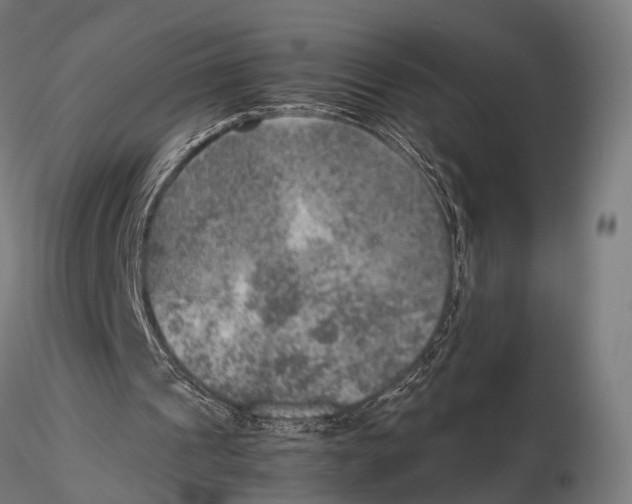 X0000115580241200912081032